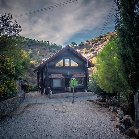 *2 Bdr Log House /Mountains/Queen Bed/Fireplace Gúri Kültér fotó