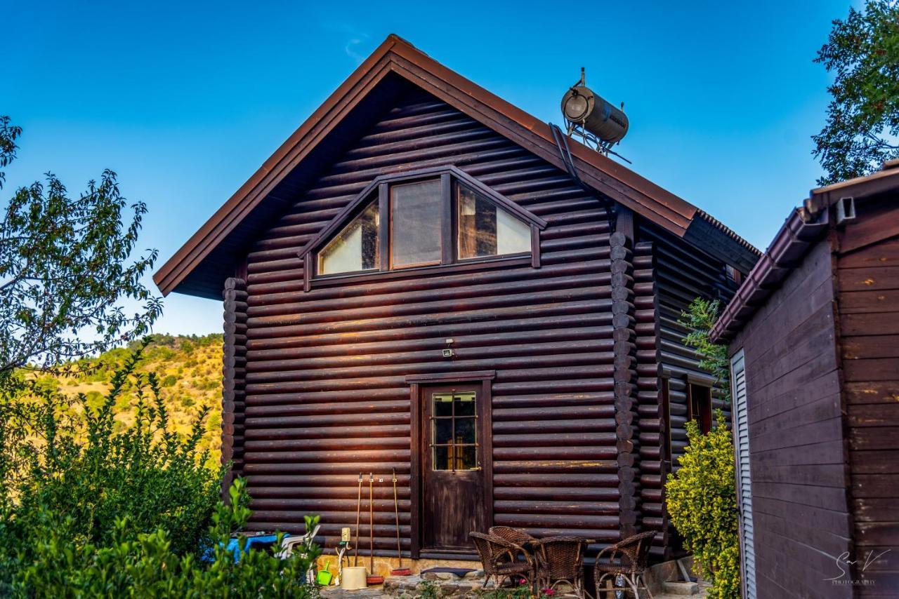 *2 Bdr Log House /Mountains/Queen Bed/Fireplace Gúri Kültér fotó