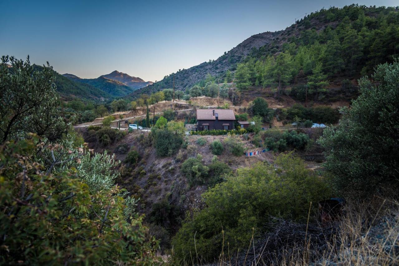 *2 Bdr Log House /Mountains/Queen Bed/Fireplace Gúri Kültér fotó